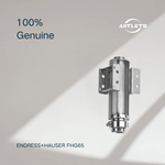 Endress+Hauser FHG65 Gamma Modulator
