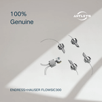 Endress+Hauser FLOWSIC300 ultrasonic gas flowmeter for natural gas process monitoring