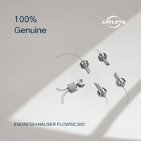 Endress+Hauser FLOWSIC300 ultrasonic gas flowmeter for natural gas process monitoring
