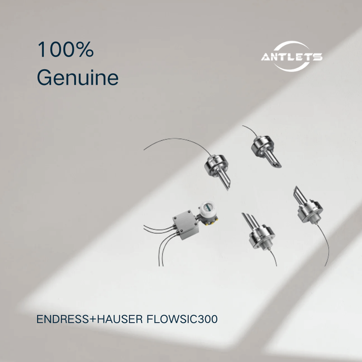 Endress+Hauser FLOWSIC300 ultrasonic gas flowmeter for natural gas process monitoring