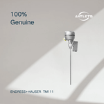 Endress+Hauser iTHERM ModuLine TM111 industrial modular thermometer product image