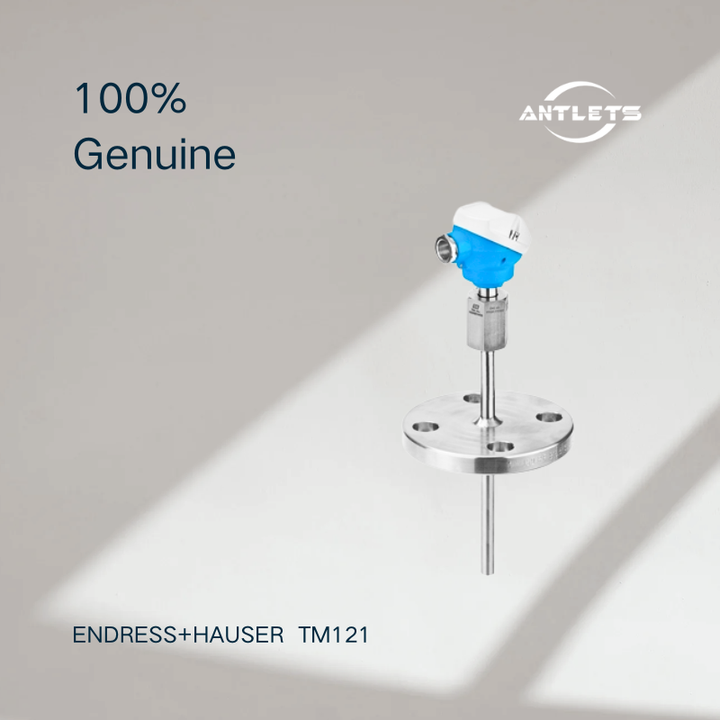 Endress+Hauser iTHERM ModuLine TM121 industrial modular thermometer product image