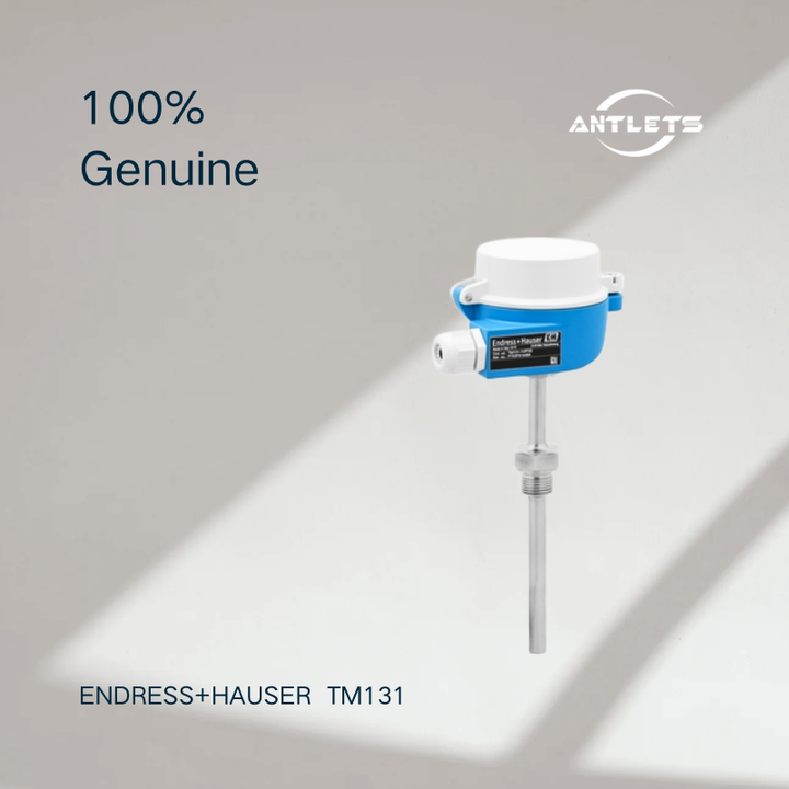 Endress+Hauser iTHERM ModuLine TM131 industrial modular thermometer product image