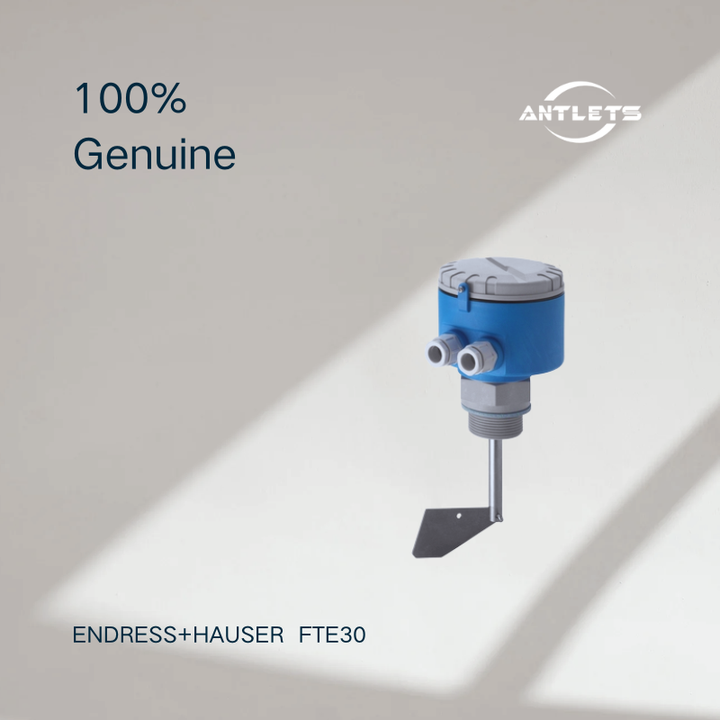 Endress+Hauser Soliswitch FTE30 rotary paddle level switch product image