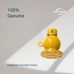 Endress+Hauser FQG61 radiometric source container