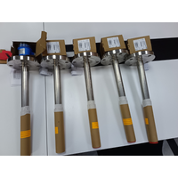 Endress Hauser Soliphant FTM51 level switch angled view