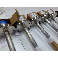 Endress Hauser Soliphant FTM51 vibration fork probe detail