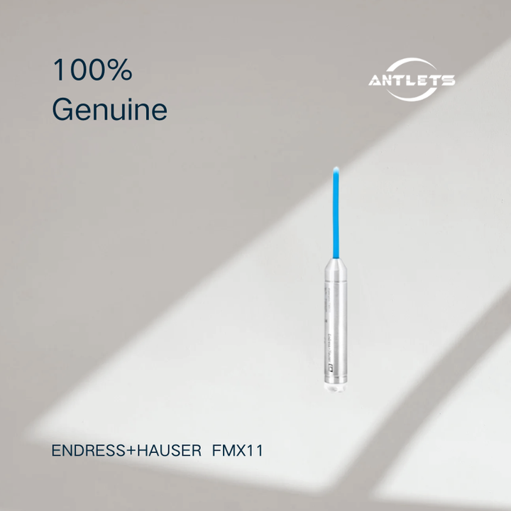 Endress+Hauser Waterpilot FMX11 hydrostatic level probe product image