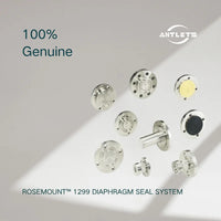 Rosemount 1299 Diaphragm Seal System product image