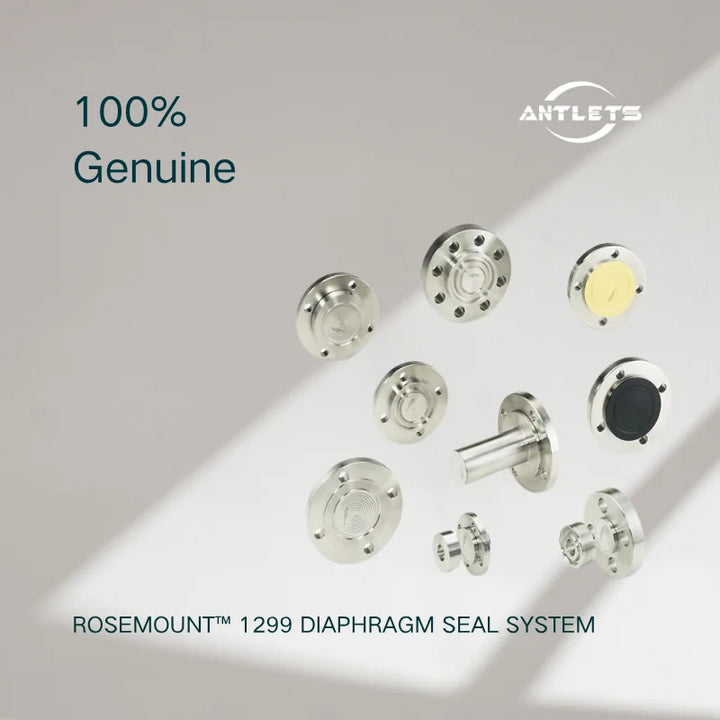 Rosemount 1299 Diaphragm Seal System product image