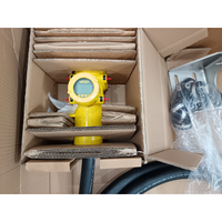 VEGA FIBERTRAC 31 radiometric sensor angled view