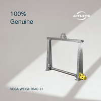 VEGA WEIGHTRAC 31 radiometric sensor for mass flow determination product image