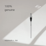 VEGA VEGAWELL 52 hydrostatic level transmitter product view